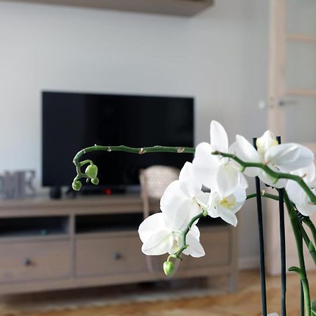 Apartament Turkus Szczecin Dış mekan fotoğraf