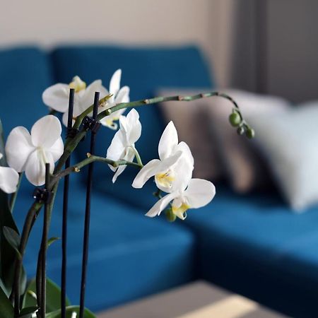 Apartament Turkus Szczecin Dış mekan fotoğraf