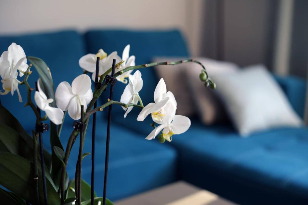 Apartament Turkus Szczecin Dış mekan fotoğraf